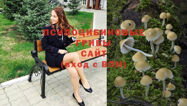 спайс Абаза