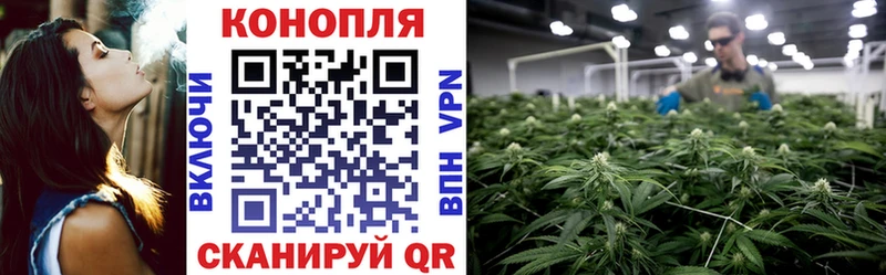 Марихуана AK-47 нарко площадка официальный сайт Приволжский